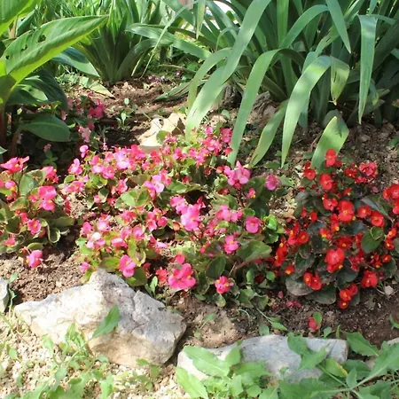 Taja, Cijela Kuca I Vrt Samo Za Vas *