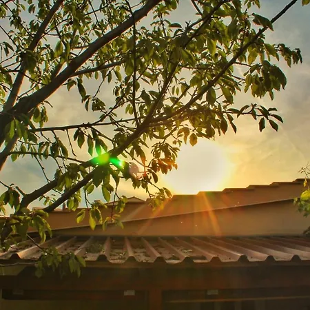 Taja, Cijela Kuca I Vrt Samo Za Vas Lejlighed