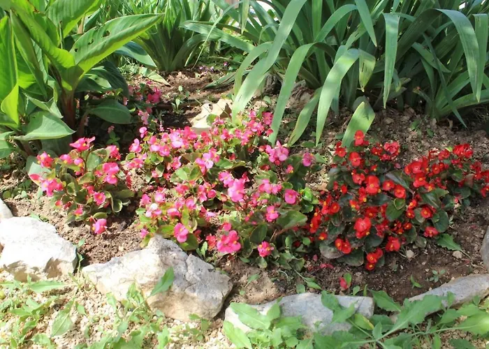 Taja, Cijela Kuca I Vrt Samo Za Vas *