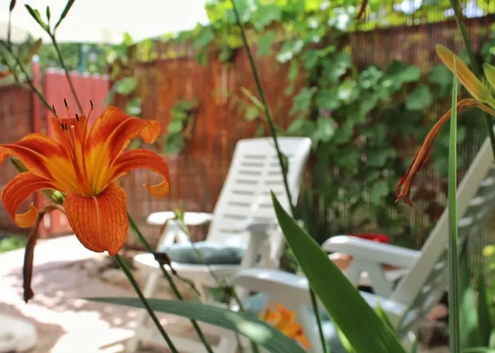 Taja, Cijela Kuca I Vrt Samo Za Vas Split