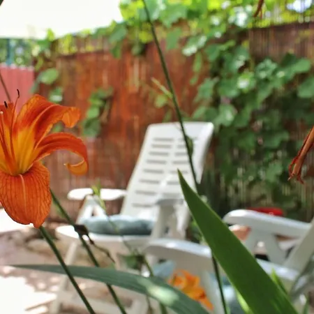 Taja, Cijela Kuca I Vrt Samo Za Vas 斯普利特